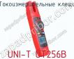 Токоизмерительные клещи UNI-T UT256B фото