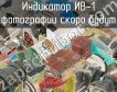ИВ-1 индикатор фото