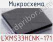 Микросхема LXMS33HCNK-171 фото