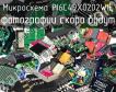 Микросхема PI6C49X0202WIE фото