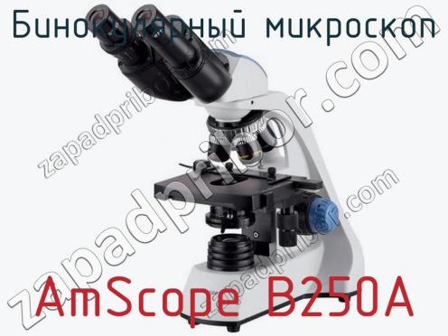 Бинокулярный микроскоп AmScope B250A фото 1