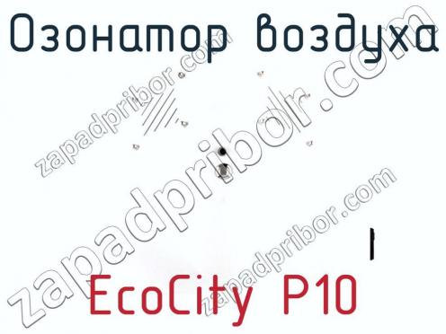 Озонатор воздуха EcoCity P10 фото 1