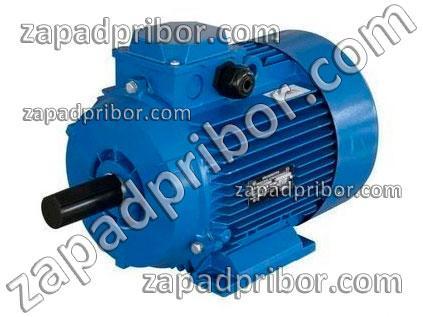 4АМ160S6 220/380 IM2081 фото 1