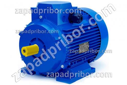 АИР315S2 IM1081 фото 1