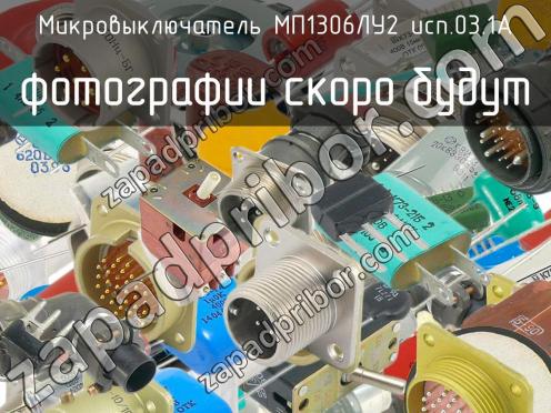 МП1306ЛУ2 исп.03.1А фото 1