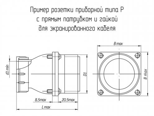 Р32ПК9ЭГ2 фото 1