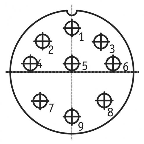 Р32ПК9ЭГ2 фото 2