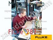 Fluke 287 мультиметр фото 1