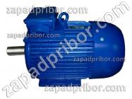 5АМ250S6 220/380 IM2081 фото 1