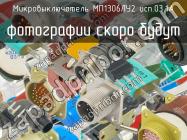 МП1306ЛУ2 исп.03.1А фото 1