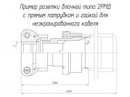 2РМД24БПН10Г5А1В фото 1