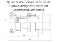 2РМДТ36БПН20Г6В1В фото 3