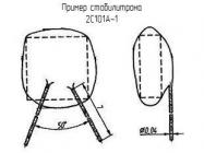 2С101А-1 фото 1