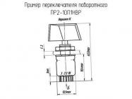 ПР2-10П1НВР фото 1