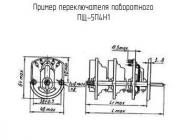 ПЩ-5П4Н1 фото 1