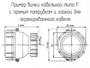 Р20П4ЭГ4 вилка кабельная фото 1