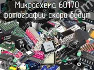 Микросхема 60170 фото 1