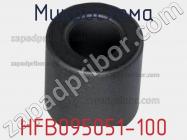 Микросхема HFB095051-100 фото 1