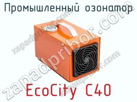 Промышленный озонатор EcoCity C40 фото 1