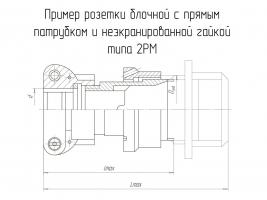 2РМ22БПН10Г1В1 фото 1