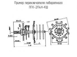 ПГК-2П4Н-КШ фото 1