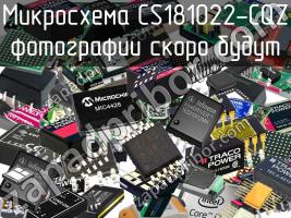 Микросхема CS181022-CQZ фото 1