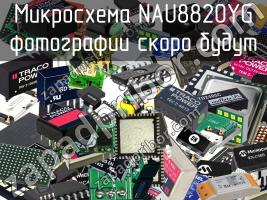 Микросхема NAU8820YG фото 1