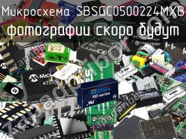 Микросхема SBSGC0500224MXB фото 1