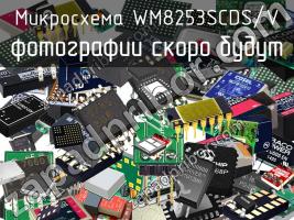 Микросхема WM8253SCDS/V фото 1