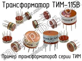ТИМ-115В фото 1