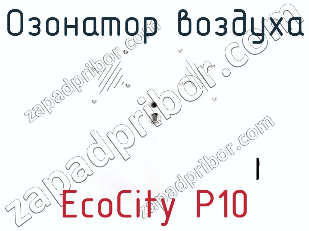 EcoCity P10 - Озонатор воздуха - фотография. Увеличить. EcoCity P10 - Озонатор воздуха - фотография.